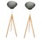 Stati X Silver Smoke Floor Lamps by Eloa, Set of 2, Image 2