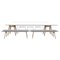 Marina White Dining Table with Benches and Capri Chairs by Cools Collection, Set of 8 1