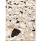 Rustic 200 Rug by Illulian 4