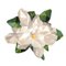 Flower Magnolia 200 Teppich von Illulian 2