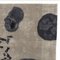 Tappeto CF Chromosome P. 48D di Caturegli Formica, Immagine 2