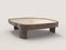 Sumatra Bronze V2 Low Table by Edizione Limitata 2