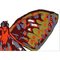 Tappeto Mariposa 400 di Illulian, Immagine 3