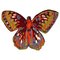 Tappeto Mariposa 400 di Illulian, Immagine 1