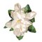 Flower Magnolia 400 Teppich von Illulian 6