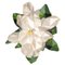 Flower Magnolia 400 Teppich von Illulian 1