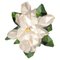 Flower Magnolia 400 Rug by Illulian, Image 2