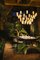 Large Porcelain Cirio Chandelier Pendant Lamp by Antoni Arola 2