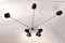 Spider 5 Still Arms Sconce by Serge Mouille 12