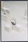 Arecibo Objects by Turbina, Set of 2, Image 8