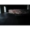 Tavolo Root e piatto in marmo rosso di Jeremy Descamps, set di 2, Immagine 8