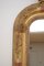 19th Century French Gilded Pier Mirror, 1850s 10