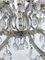 Large Mid-Century Maria Teresa Crystal and Brass Chandelier, Italy, 1940s 4