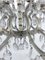 Large Mid-Century Maria Teresa Crystal and Brass Chandelier, Italy, 1940s, Image 4