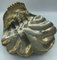 Large Art Deco Shell-Shaped Centerpieces, Set of 2 10