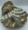 Large Art Deco Shell-Shaped Centerpieces, Set of 2, Image 10