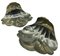 Large Art Deco Shell-Shaped Centerpieces, Set of 2 4