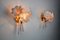 Appliques Murales Lily Flower Rose en Verre de Murano, Italie, 1970s, Set de 2 4