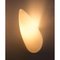 Luci Fair Wall Sconce by Philippe Starck for Flos, 1989 2