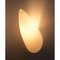 Luci Fair Wall Sconce by Philippe Starck for Flos, 1989, Image 2