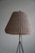 French Modern Floor Lamp in Rattan and Steel, 1950s 10