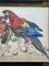 Paul Jouve, Two Parrots de Paul Jouve, Francia, años 30, Papel, Imagen 5