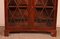 Mahogany Glazed Bookcase, England, 19th Century 2