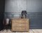 18th Century Galbée Chest of Drawers in Oak, Image 3