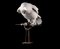 Escultura de cuervo de plumas de papel Velum vintage en vitrina a medida, Imagen 11