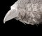 Escultura de cuervo de plumas de papel Velum vintage en vitrina a medida, Imagen 13