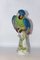 Porcelain Parrot in the style of Meissen, 1940s 5