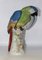 Porcelain Parrot in the style of Meissen, 1940s 9