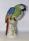 Porcelain Parrot in the style of Meissen, 1940s, Image 9