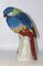 Porcelain Parrot in the style of Meissen, 1940s 1