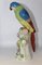 Porcelain Parrot in the style of Meissen, 20th Century 1