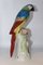 Porcelain Parrot in the style of Meissen, 20th Century 8