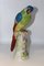 Porcelain Parrot in the style of Meissen, 20th Century 4