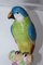 Porcelain Parrot in the style of Meissen, 20th Century 6