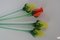 Glass Flowers from Glasswork Novy Bor, 1950s, Set of 4 5