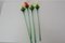 Glass Flowers from Glasswork Novy Bor, 1950s, Set of 4, Image 3