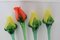 Glass Flowers from Glasswork Novy Bor, 1950s, Set of 4, Image 4