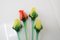 Glass Flowers from Glasswork Novy Bor, 1950s, Set of 4, Image 2