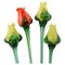 Glass Flowers from Glasswork Novy Bor, 1950s, Set of 4, Image 1