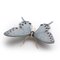 Swallow Butterfly von Mambo Unlimited Ideas 1