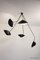 Ceiling Lamp with Six Rotating Arms in Black and White by Serge Mouille 8