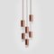 Lamp One 6-Light Hanging Lamp in Walnut by Formaminima 3
