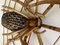 Vintage Rattan Spider Sculpture, 1970s, Image 16