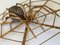 Vintage Rattan Spider Sculpture, 1970s, Image 2