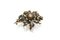 Spilla-ciondolo in oro, Olanda, metà del XIX secolo, con 26 diamanti, Immagine 4