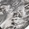 Plats Silver Fox Head d'Asprey & Co., 1980s, Set de 4 7